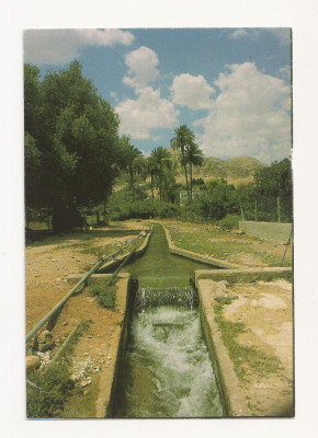 FA44-Carte Postala- ISRAEL - Jericho, Elisha Spring, necirculata foto