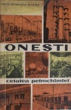 Onesti Cetatea Petrochimiei - Mihai Gheorghe Andries, Editura Politica 1963, Carte Politica Romana