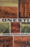 ONESTI - CETATEA PETROCHIMIEI-MIHAI GHEORGHE ANDRIES