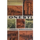 ONESTI - CETATEA PETROCHIMIEI-MIHAI GHEORGHE ANDRIES-249547