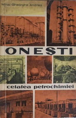ONESTI - CETATEA PETROCHIMIEI-MIHAI GHEORGHE ANDRIES-249547 foto