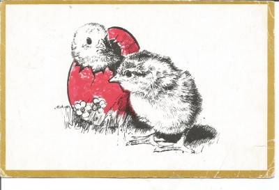 (A) carte postala-FELICITARE foto