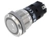 Comutator anti-vandalism SPDT - 24V