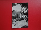 CARTE POSTALA - RPR - SINAIA - MUZEUL PELES