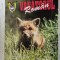 REVISTA VANATORUL ROMAN , ANUL 2002, NR 6