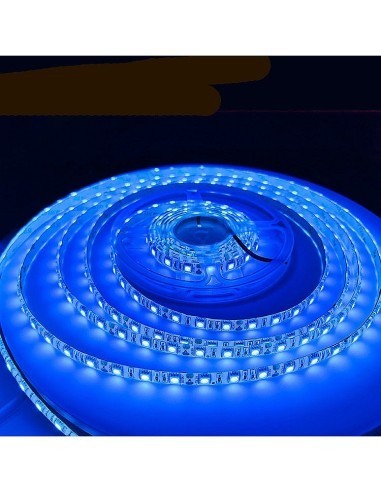 Banda led albastra 60 leduri 5050/metru, 24V, rezistenta la apa, la rola de 5 metri Albastru