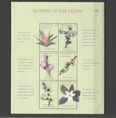 MICRONESIA 2000 FLORI foto
