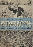 Bumbacul. Mare Putere Mondiala - Anton Zischka