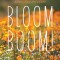 Bloom Boom!