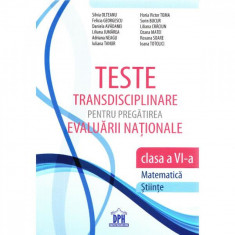 Matematica, Stiinte - clasa 6 - Teste transdisciplinare pentru pregatirea evaluarii nationale - Silvia Olteanu, Felicia Georgescu, Daniela Avadanei foto