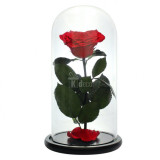 Cumpara ieftin Trandafir criogenat inima rosie (&Oslash;=9cm) in cupola sticla 17x28cm