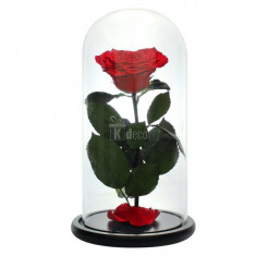 Trandafir Criogenat inima rosie Ø9cm in cupola sticla 17x28cm