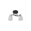 Lustra Aria Crom+Alb 2xE27 60W, Erste