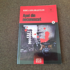 APEL DIN NECUNOSCUT . Editura Universitara, 2007 - Rodica Ojog-Brasoveanu