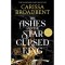 The Ashes and the Star-Cursed King - Carissa Broadbent