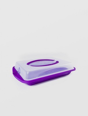 PLATOU TORT DREPT CU CAPAC STERK 45 X 30 X 10 foto