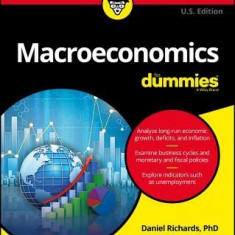 Macroeconomics for Dummies