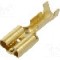 Terminal tip plat, pentru surub {{Orificiu pentru &amp;#351;urub}}, VOGT - 3832.60