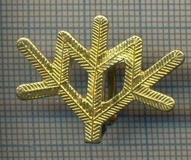Y 1808 INSIGNA - MILITARA -SEMN DE ARMA -VANATORI DE MUNTE -PENTRU COLECTIONARI foto