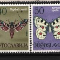 IUGOSLAVIA1964 - INSECTE. FLUTURI EXOTICI. SERIE STAMPILATA, P2