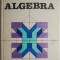 Algebra &ndash; Ion D. Ion