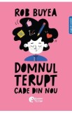 Domnul Terupt cade din nou - Rob Buyea
