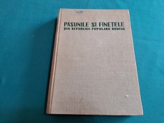 PA?UNILE ?I FANE?ELE DIN REPUBLICA POPULARA ROMANA / 1963 *2 foto