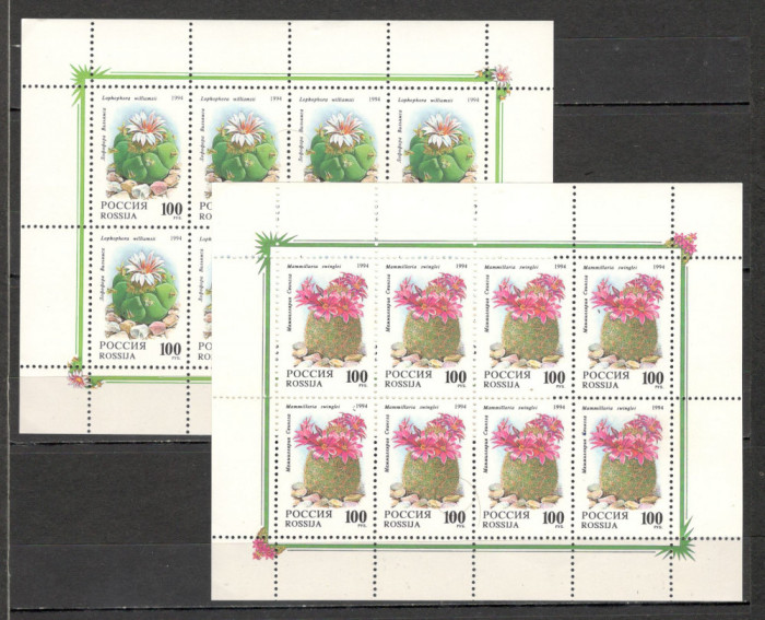 Rusia.1994 Flori de cactusi-coli mici SR.31