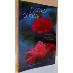 SOAPTELE CERULUI , 2007