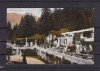 SINAIA TERASA SI GRADINA CU FLORI A CASTELULUI PELES CIRCULATA 1924, Printata