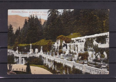 SINAIA TERASA SI GRADINA CU FLORI A CASTELULUI PELES CIRCULATA 1924 foto
