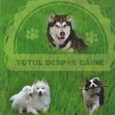 CRISTIAN RUNCIANU - TOTUL DESPRE CAINE