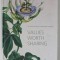 THE PRINCELY HOUSE , LIECHTENSTEIN AND LGT - VALUES WORTH SHARING , ANII &#039;90