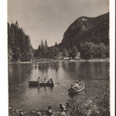 CPIB 17474 CARTE POSTALA - VEDERE DE LA LACUL ROSU, RPR, BARCI