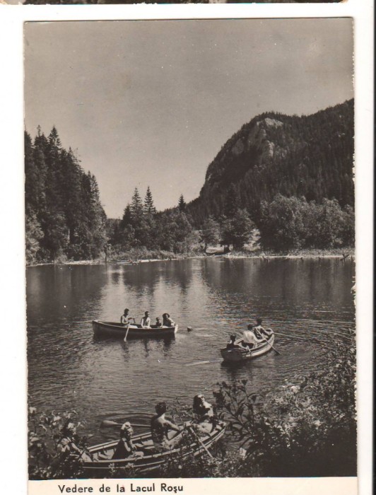 CPIB 17474 CARTE POSTALA - VEDERE DE LA LACUL ROSU, RPR, BARCI