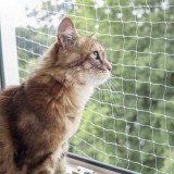 Plasă Siguranță Pisici Kerbl 6x3m Transparentă, Protecție Balcon Terasă, Rezistentă UV, Poliester, Fixare Inclusă