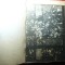 301. Copie xerox - Catalog Licitatie Arte Decorative - Sotheby&#039;s New York 1988 ,240p