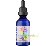 Argentum PLUS Kids 15ppm pentru Copii Varsta 4-12 Ani cu Pipeta 60ml