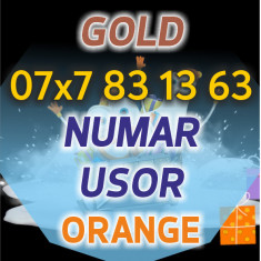 Numar Special Orange - 07x7.83.13.63 Usor aur platina VIP numere usoare cartela