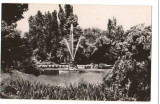 CPI B 10809 CARTE POSTALA - BUCURESTI. GRADINA CISMIGIU, RPR, Circulata, Fotografie