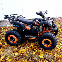 Atv Grizzly Kxd 125Cc 006-8 Pro Cutie De Viteza 3+R