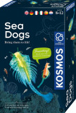 Set educativ STEM - Animale marine | Kosmos