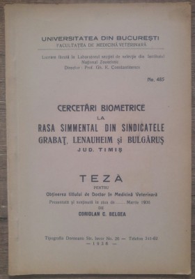 Cercetari biometrice la rasa Simmental din sindicatele jud. Timis/ 1936 foto