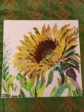 TABLOU PE PANZA CU SASIU NOU 50X50 CM FLOAREA SOARELUI ACRILIC PRET 100 LEI