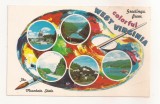 FA103 -Carte Postala- SUA - Greetings from West Virginia, necirculata