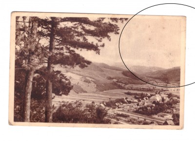 CP Zizin - Vedere, RPR, circulata 1953, cu mici pete foto