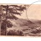 CP Zizin - Vedere, RPR, circulata 1953, cu mici pete