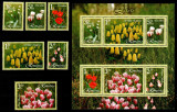 Romania 2006, LP 1716 + 1716 b, Lalele, serie + bloc de 6, MNH! LP 22,10 lei, Flora, Nestampilat