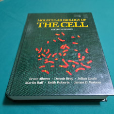 MOLECULAR BIOLOGY OF THE CELL / A DOUA EDIȚIE / 1989 *