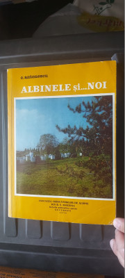 ALBINELE SI NOI - C.ANTONESCU , CARTEA IN STARE FOARTE BUNA . foto